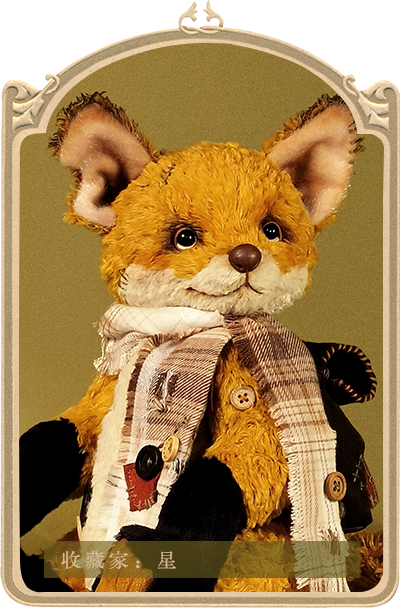 泰迪秘事teddymystery熊档案库