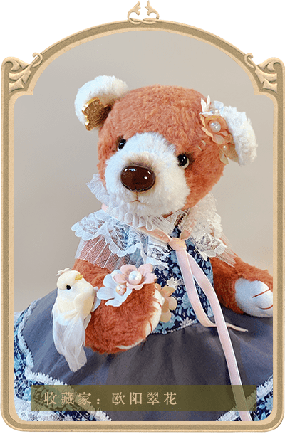泰迪秘事teddymystery熊档案库