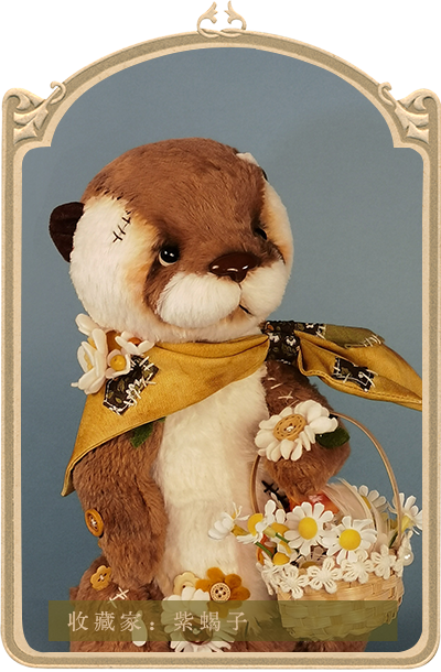 泰迪秘事teddymystery熊档案库