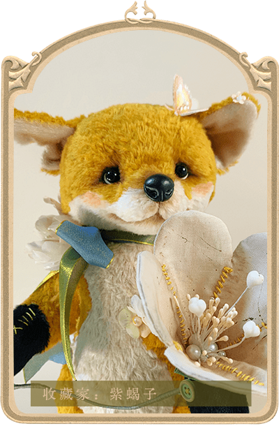 泰迪秘事teddymystery熊档案库