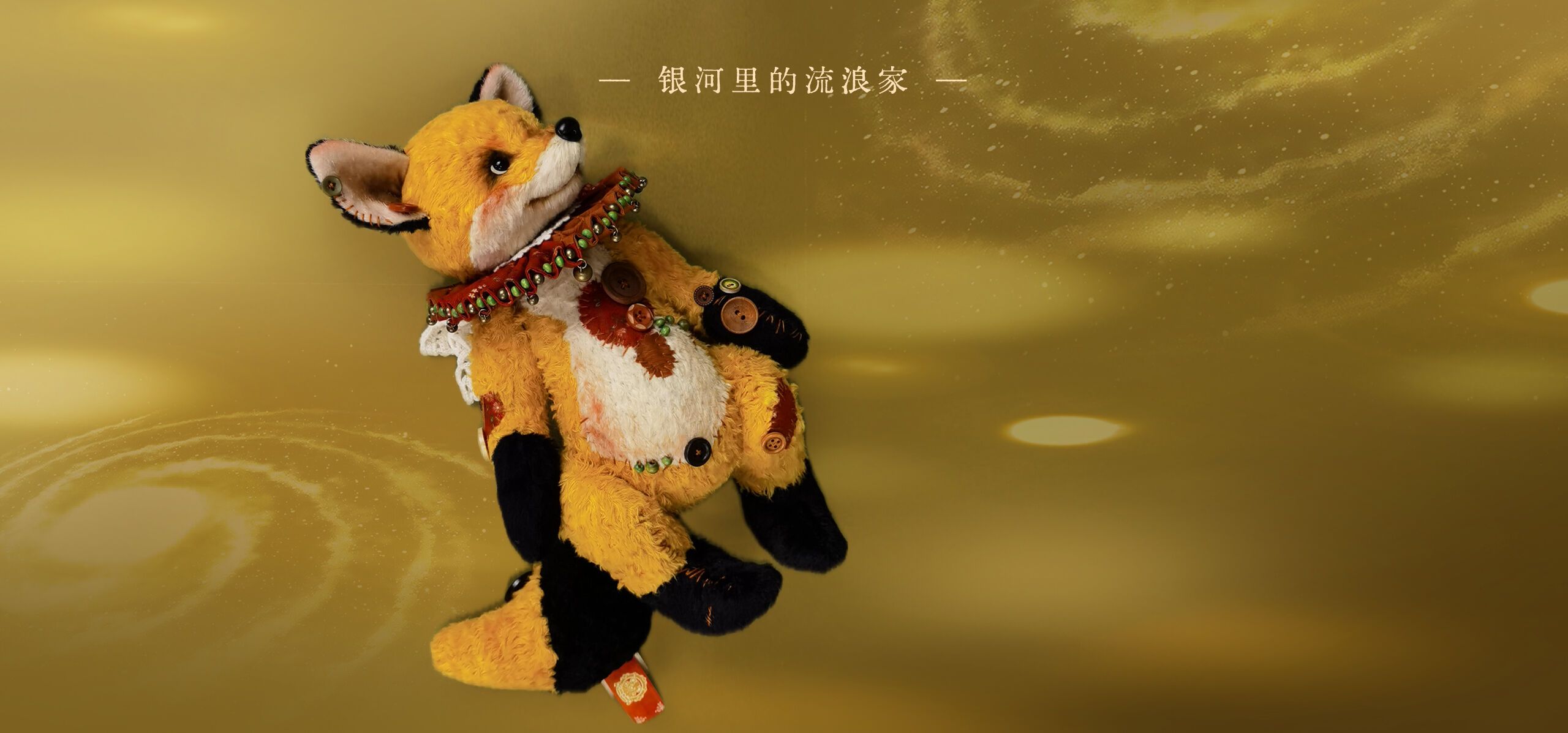 泰迪秘事