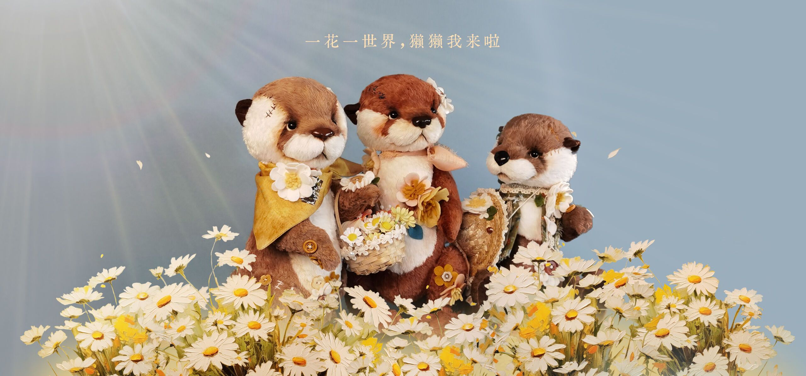 泰迪秘事